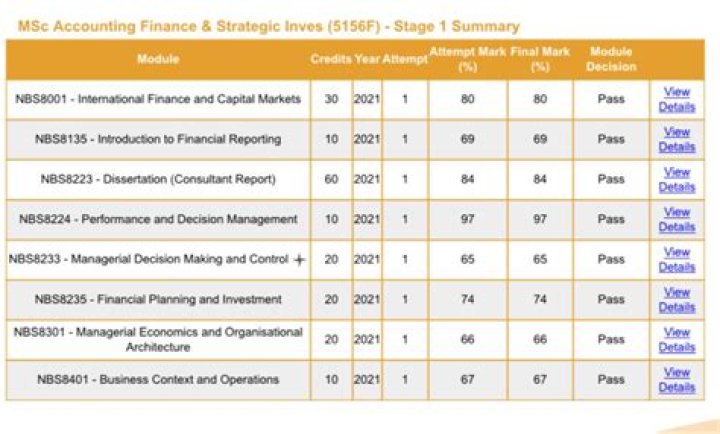 Accounting, Finance and Strategic Investment MSc