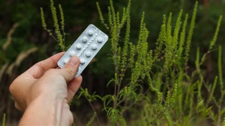 Cómo utilizar correctamente los antihistamínicos