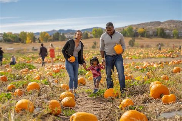 🐣 Springtime at the Pumpkin Patch